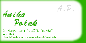 aniko polak business card